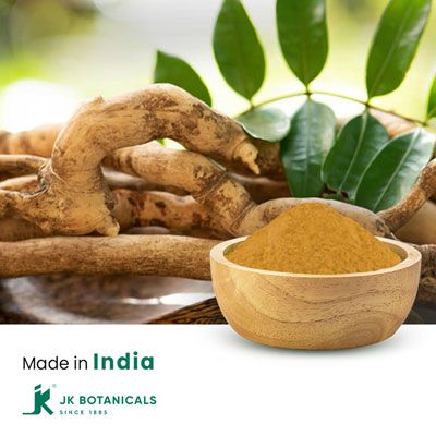 Tongkat Ali Powder Steam Treated by JK Botanicals