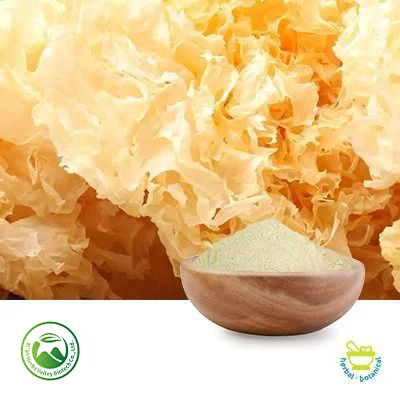 Tremella Fuciformis Powder by Xi'an Herbs Valley