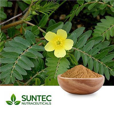 Tribulus Powder by Suntec Nutraceuticals