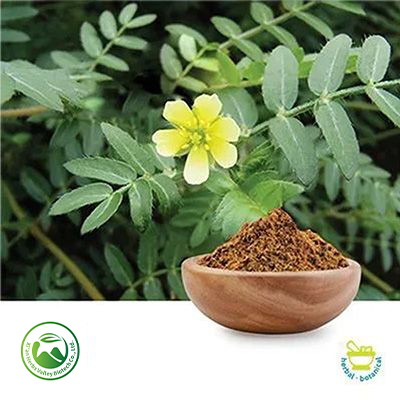 Tribulus Powder by Xi'an Herbs Valley