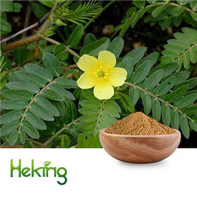 Tribulus Terrestris extract 40%Saponins by Heking