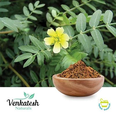 Tribulus Extract 45% by Venkatesh Naturals