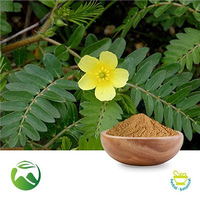 Tribulus Extract 95% Total Saponins by Xi'an Herbs Valley