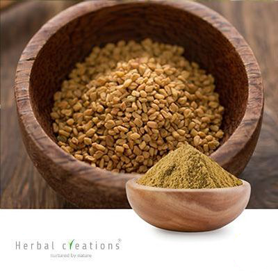 Trigonella foenum-graecum extract 50% Saponins By gravimetry by Herbal Creations