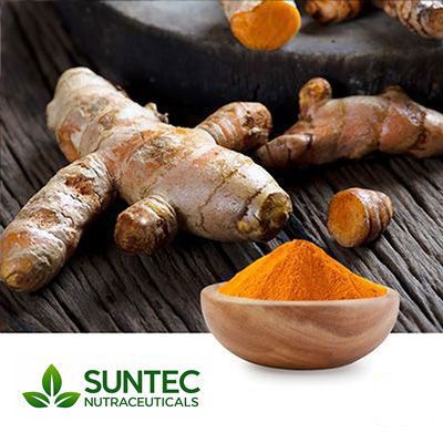 Turmeric Extract 95% Curcumins by Suntec Nutraceuticals