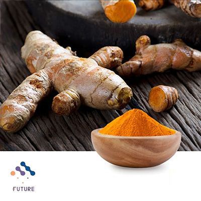 Turmeric Extract Curcumin 95% HPLC by Yunnan Future Bio-Tech