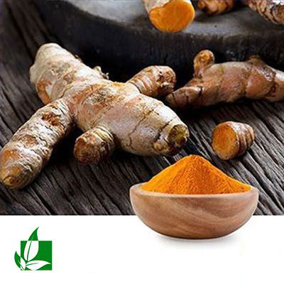 Turmeric Extract Curcumin 95% HPLC Powder(C14 Detectable) by Shaanxi Green Bio-Engineering