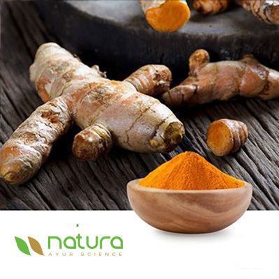 Turmeric Extract Powder 10% curcuminoids by HPLC by Natura Ayur Science