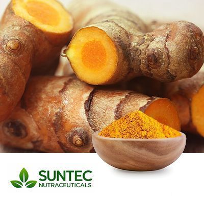 Turmeric Root Extract 10:1 by Suntec Nutraceuticals