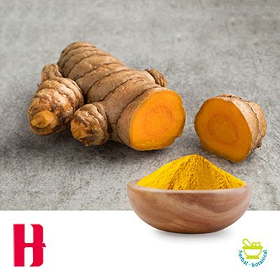 Turmeric Extract 95% Curcuminoids HPLC by Jiangxi H&K Food