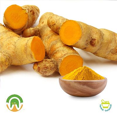 Turmeric Extract 10:1 by Wellness Nutrition