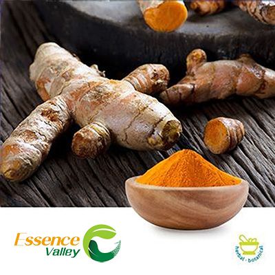 Turmeric Root Extract 95% Total Curcuminoids by HPLC by DaFang Essence Valley