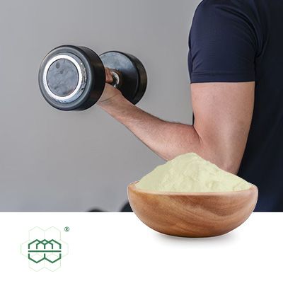 Urolithin A by MyLand Pharm&Nutrition