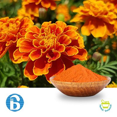 Lutein 5% (Marigold Flower Extract) by BannerBio