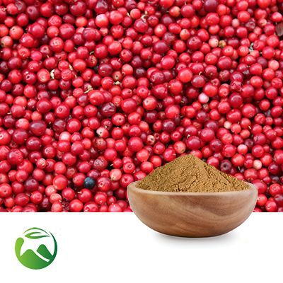 Uva Ursi Extract 10:1 by Xi'an Herbs Valley