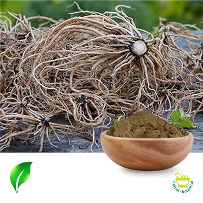 Valerian Root Extract 10:1 by Changsha Sunnycare