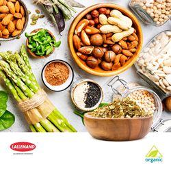 Engevita® Vege Regime Flakes by Lallemand Bio Ingredients