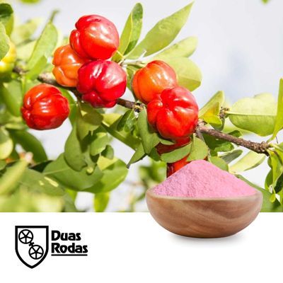 VITAMIN-ACE - ACEROLA POWDER (25% VITAMIN C) by Duas Rodas