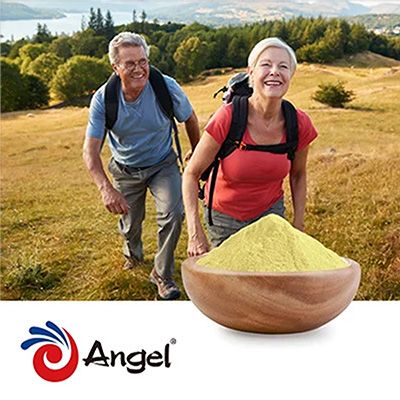 Vitamin K2 MK-7 0.2% MCC Powder (Baclicus subtilis(natto)) by Angel Yeast