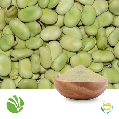 VITESSENCE™​ Pulse 1550 Pea Protein by Ingredion Plant Based Protein Specialties(Canada), Inc