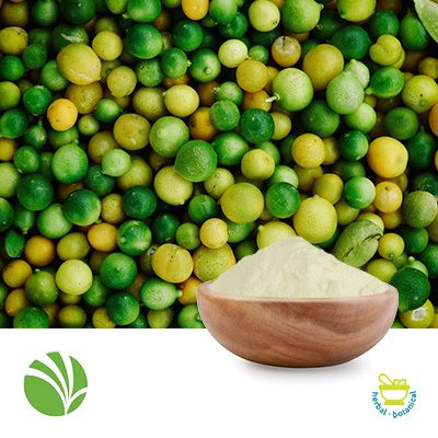 VITESSENCE® Prista P 360 Faba Bean Protein by Ingredion Plant Based Protein Specialties(Canada), Inc