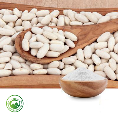 Water Soluble White Kidney Bean Extract α-amylase inhibitor activity ≥3,000U/g (≥15,000 AAIU/g) 20:1 by Xi'an Herbs Valley