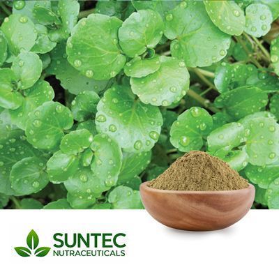 Watercress Powder by Suntec Nutraceuticals