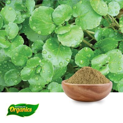 Watercress Herb Powder/Extract by Pathealth Laboratories