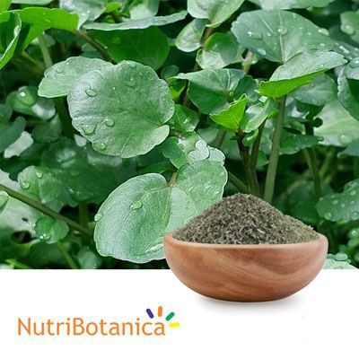 Watercress Phyto Powder by Nutribotanica