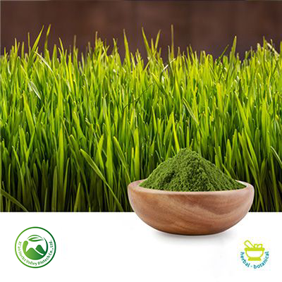 Wheat Grass Powder by Xi'an Herbs Valley