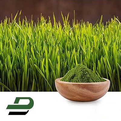 Wheat Grass Powder by Xinghua Dongbao