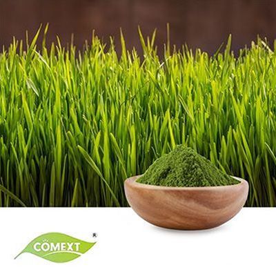 Wheat Grass Powder by Comext