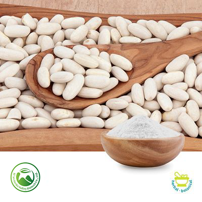 White Kidney Bean Extract 4:1 by Xi'an Herbs Valley