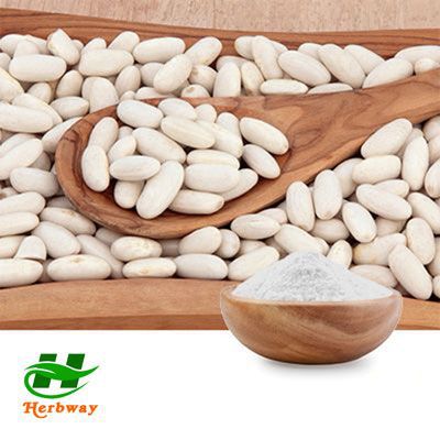 White Kidney Bean Extract 10:1 by Changsha Herbway