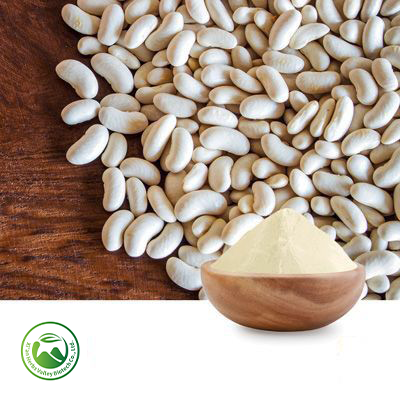 White Kidney Bean Extract α-amylase inhibitor activity ≥3,000U/g (≥15,000 AAIU/g) 10:1 by Xi'an Herbs Valley