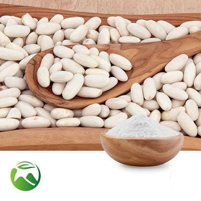 Water Soluble White Kidney Bean Extract α-amylase inhibitor activity ≥3,000U/g (≥15,000 AAIU/g) 20:1 by Xi'an Herbs Valley
