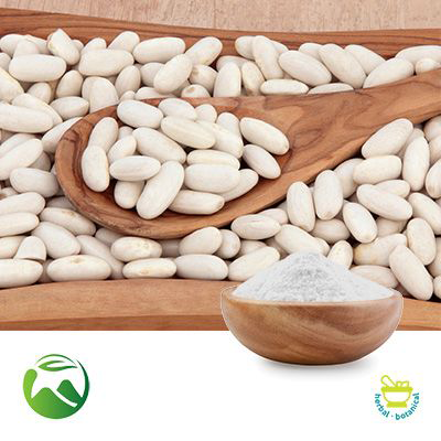 White Kidney Bean Extract 4:1 by Xi'an Herbs Valley