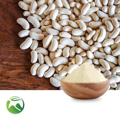 White Kidney Bean Extract α-amylase inhibitor activity ≥3,000U/g (≥15,000 AAIU/g) 10:1 by Xi'an Herbs Valley
