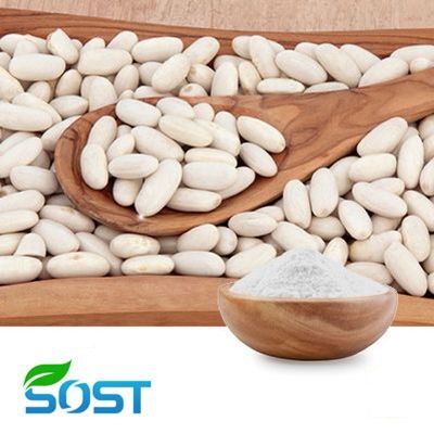 White Kidney Bean Extract 10:1 by SOST