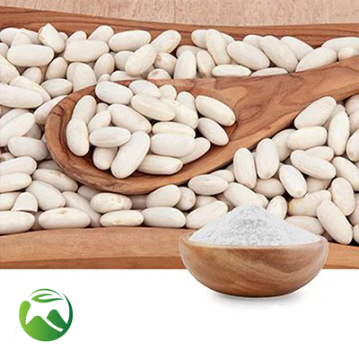 White Kidney Bean Powder by Xi'an Herbs Valley