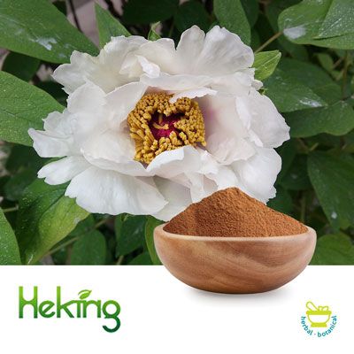 thumbnail image 2 of Organic White Peony Root Tincture Extract – Pure Highest Strength – 1, 2, Or 4 Oz – Medicomo 2 of 6