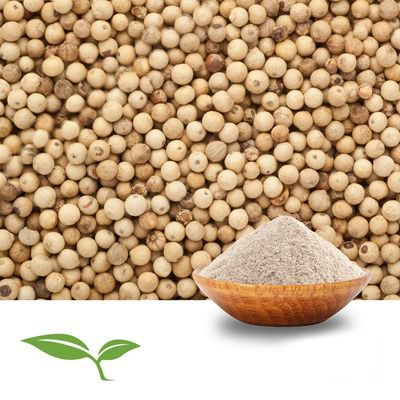 White Pepper (Ground, Organic) by American Botanicals