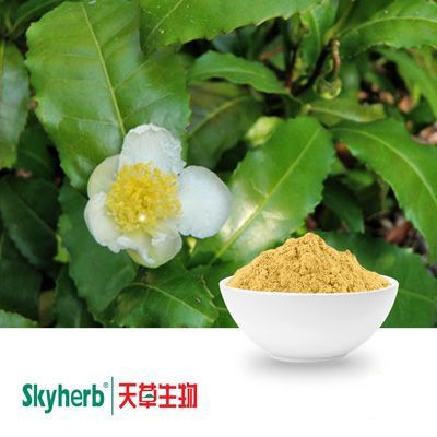 White Tea Extract 60% Polyphenols UV by Skyherb