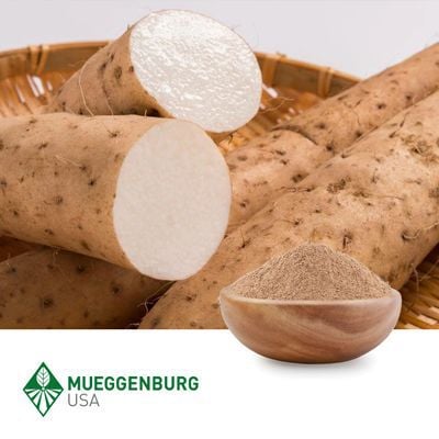 Wild Yam Root, Powder  by Mueggenburg USA
