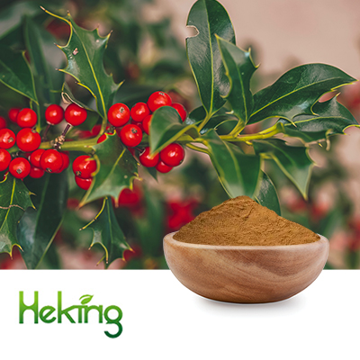 Wintergreen extract 10:1 by Heking