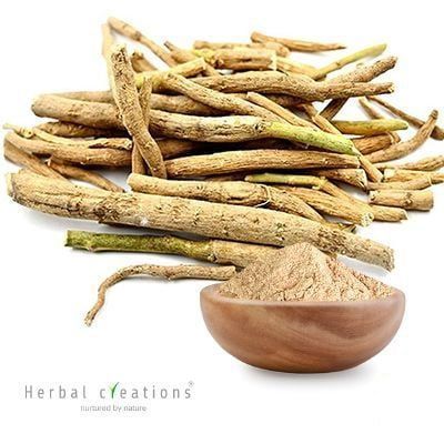 Withania Somnifera Extract 5%Total Withanolides Content By HPLC  by Herbal Creations