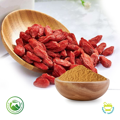 Wolfberry (Goji Berry) Extract Polysaccharides≥50% (10:1) by Xi'an Herbs Valley