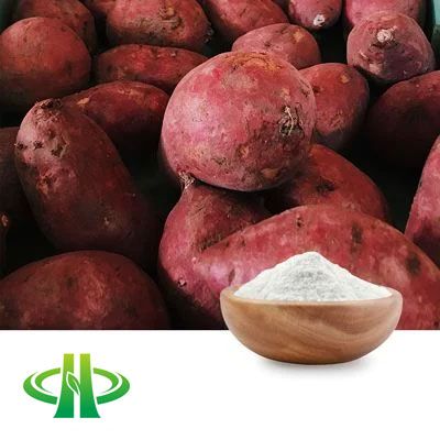Yam Powder by Shandong Zhongmin