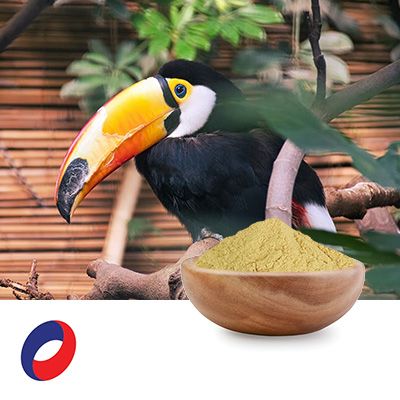 YE311 High Nucleic Acid Yeast Extract by Nanyang Biotogether