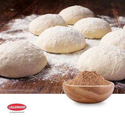 Yesto-Seal® 004 Brewer's Yeast Powder by Lallemand Bio Ingredients